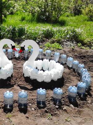 Поделки из пластиковых бутылок своими руками - для сада, дачи, огорода, фото идеи, мастер-классы + советы