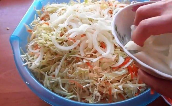 Квашеная капуста быстрого приготовления - 8 рецептов хрустящей, сочной капусты