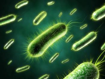 Какое средство для выгребных ям лучше: обзор живых бактерий, антисептиков и химии